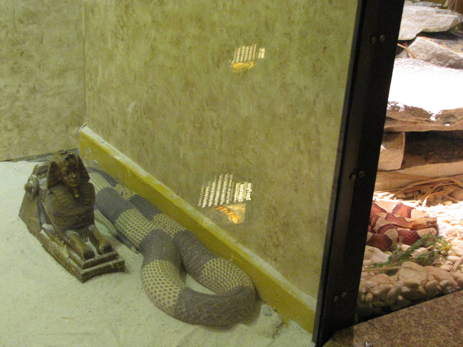Staten Island Zoo 2010 - Egyptian Cobra and Trans-Pecos Copperhead