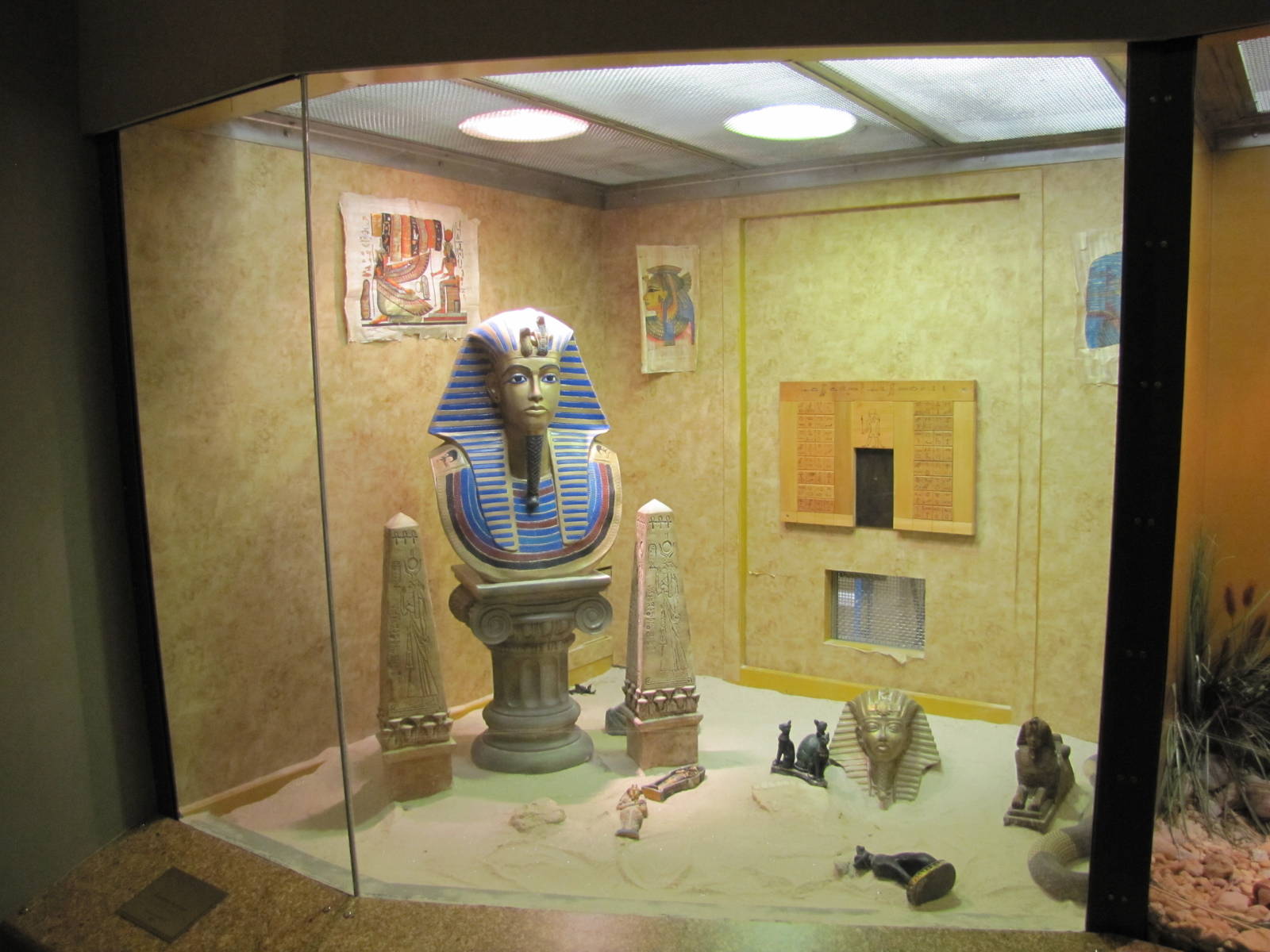 Staten Island Zoo 2010 - Egyptian Cobra exhibit