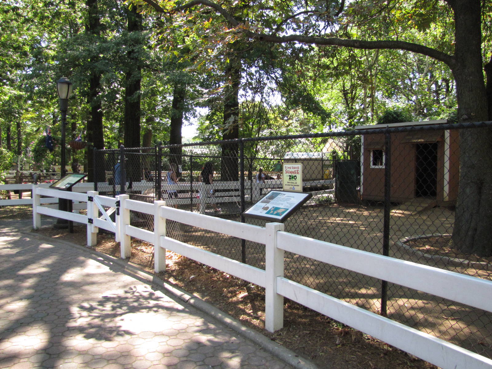 Staten Island Zoo 2010 - Front of Emu enclosure