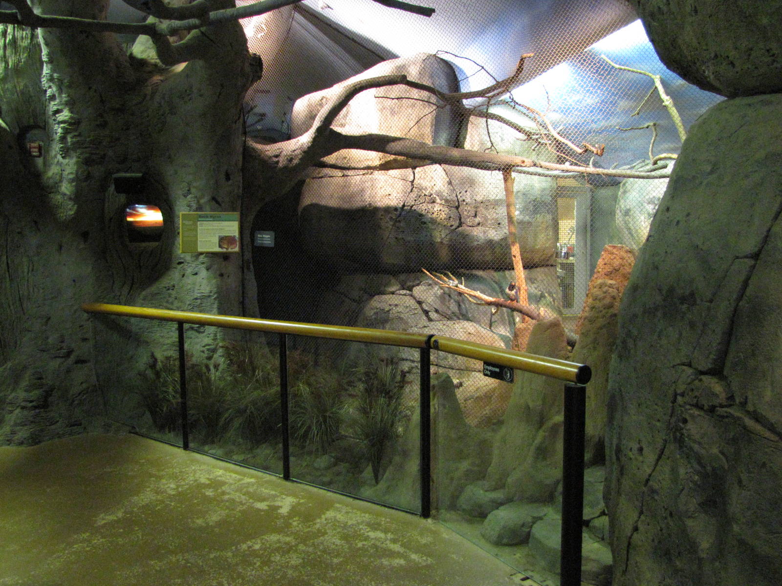 Staten Island Zoo 2010 - Front of Rock Hyrax exhibit in African Savanna bui