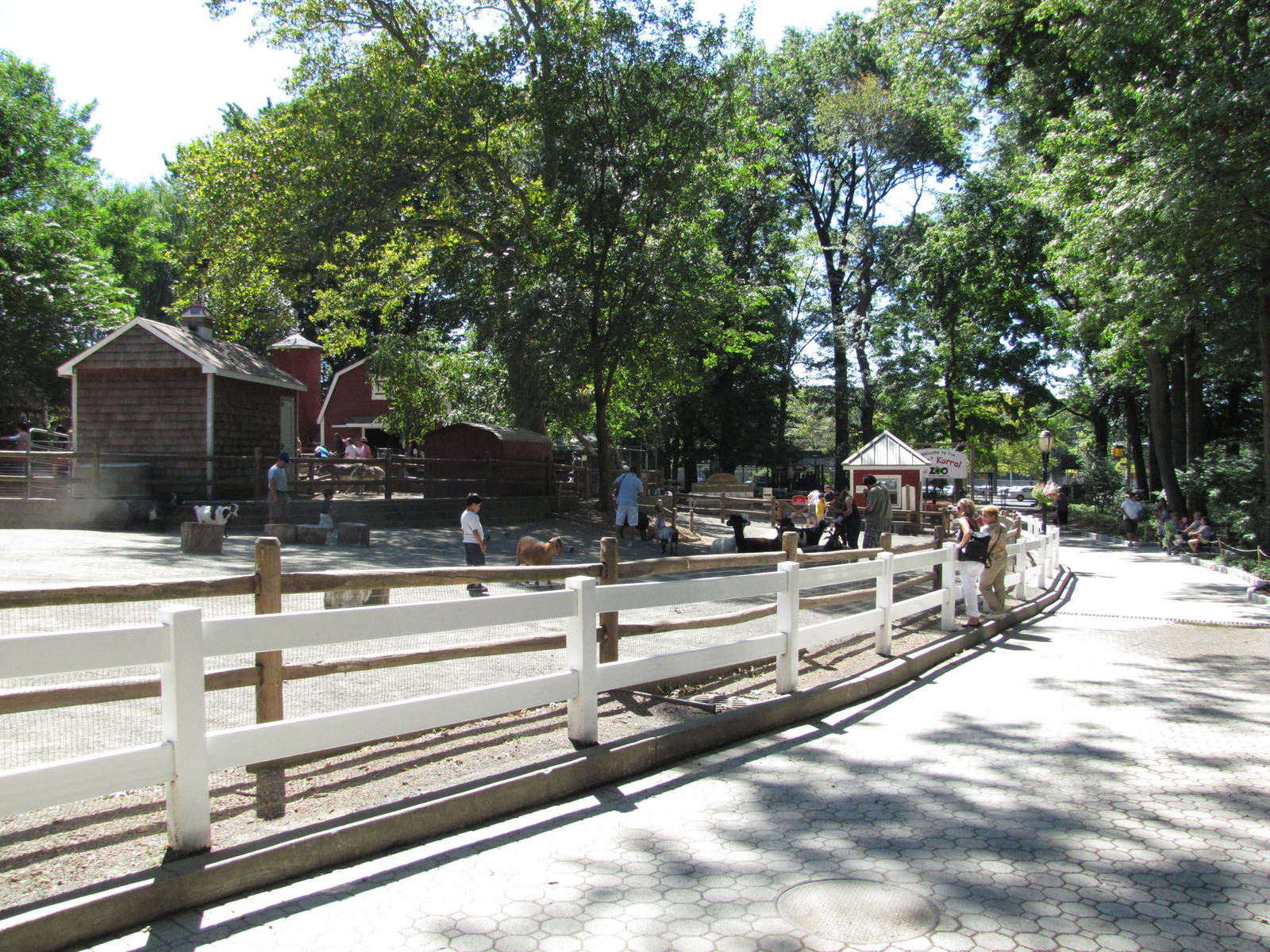 Staten Island Zoo 2010 - General view in Zoo Farm