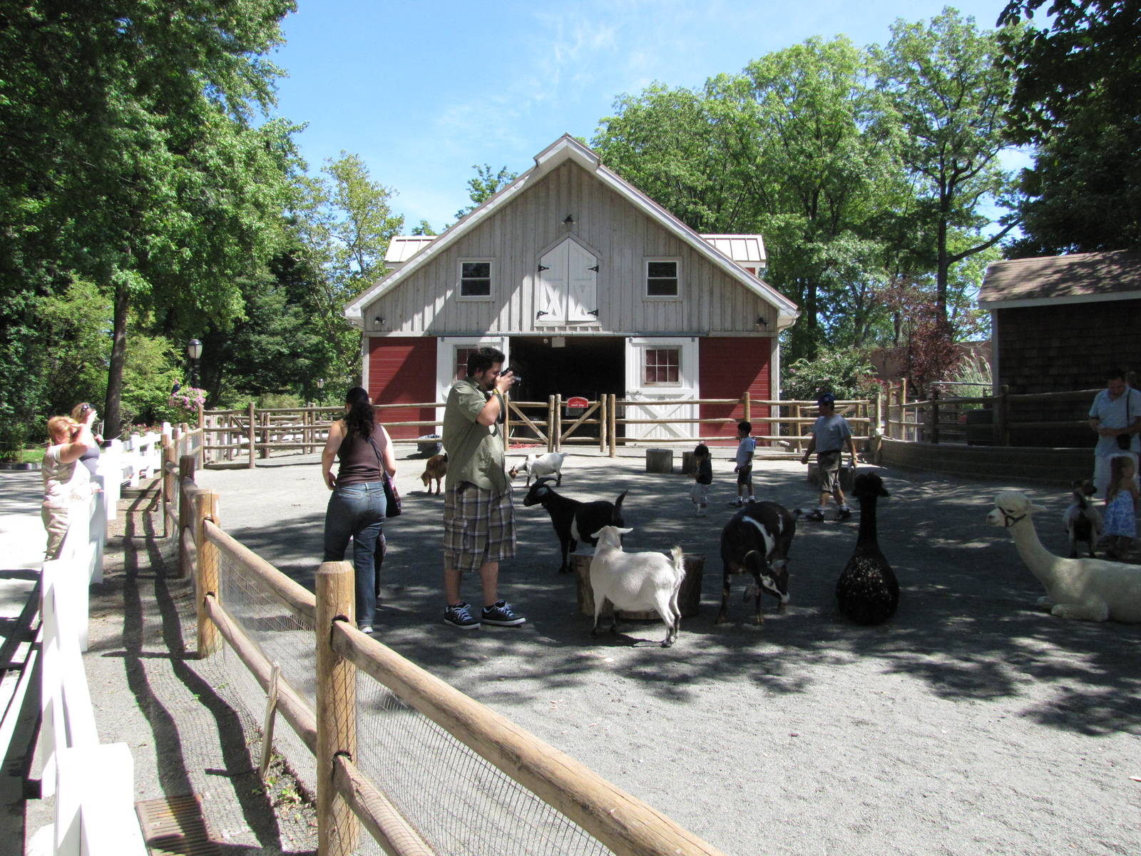 Staten Island Zoo 2010 - General view in Zoo Farm