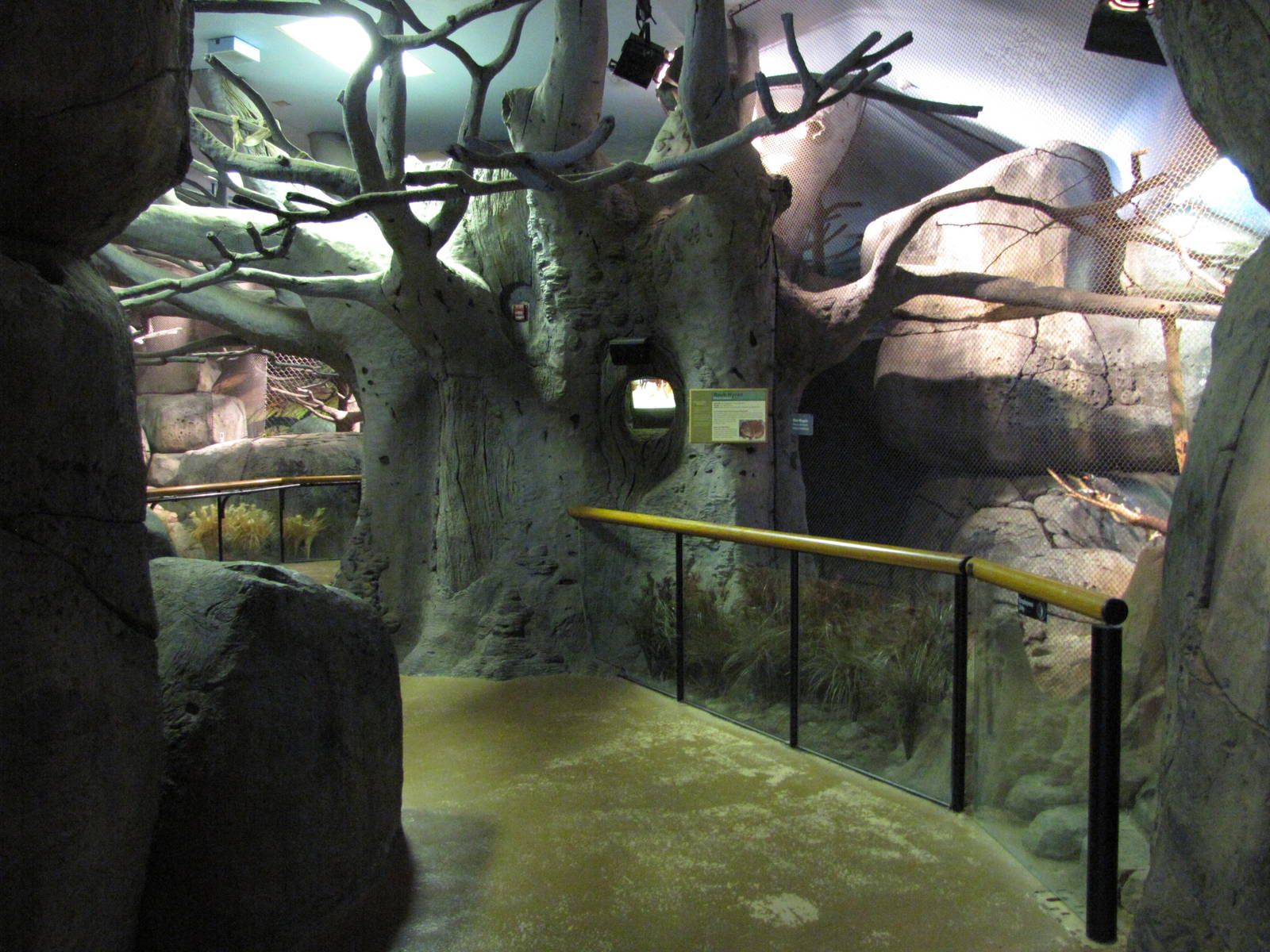 Staten Island Zoo 2010 - General view inside African Savanna building
