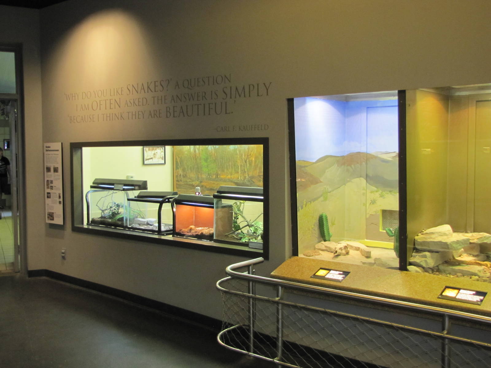 Staten Island Zoo 2010 - Nursery in Kauffeld Hall of Reptiles