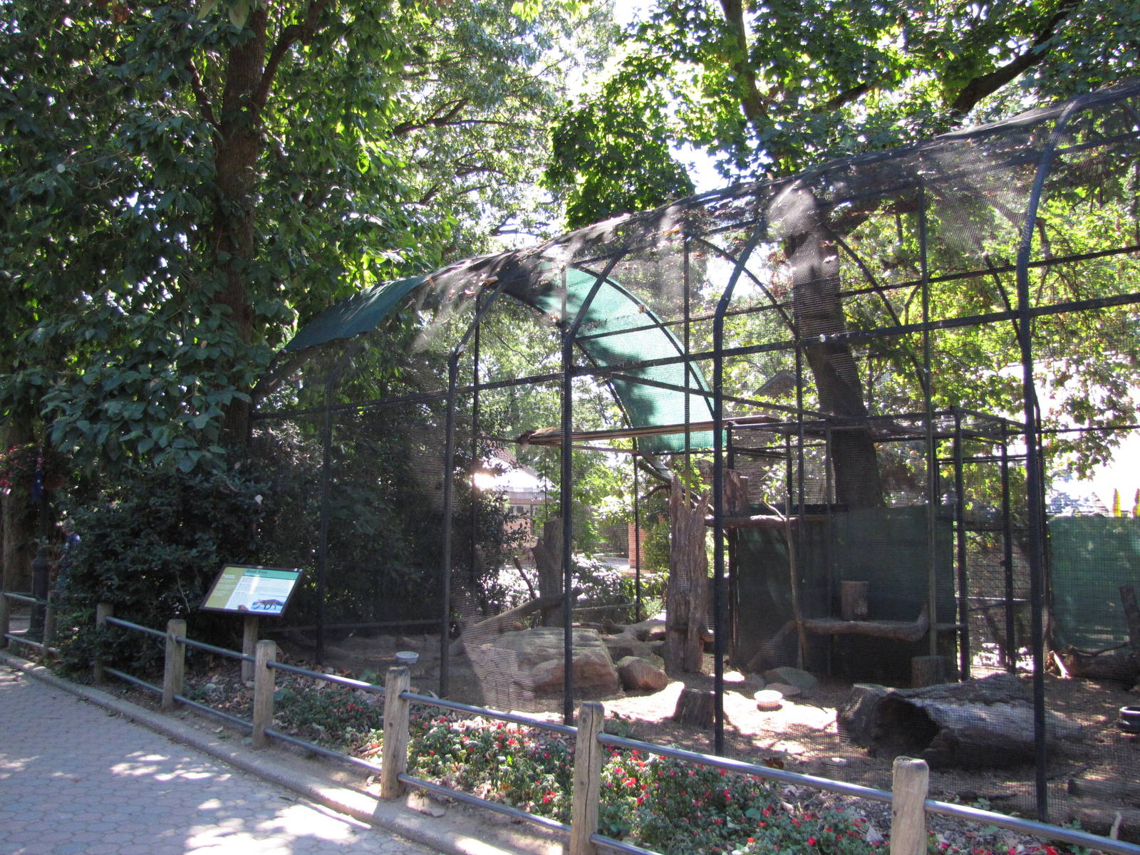 Staten Island Zoo 2010 - Red Fox enclosure