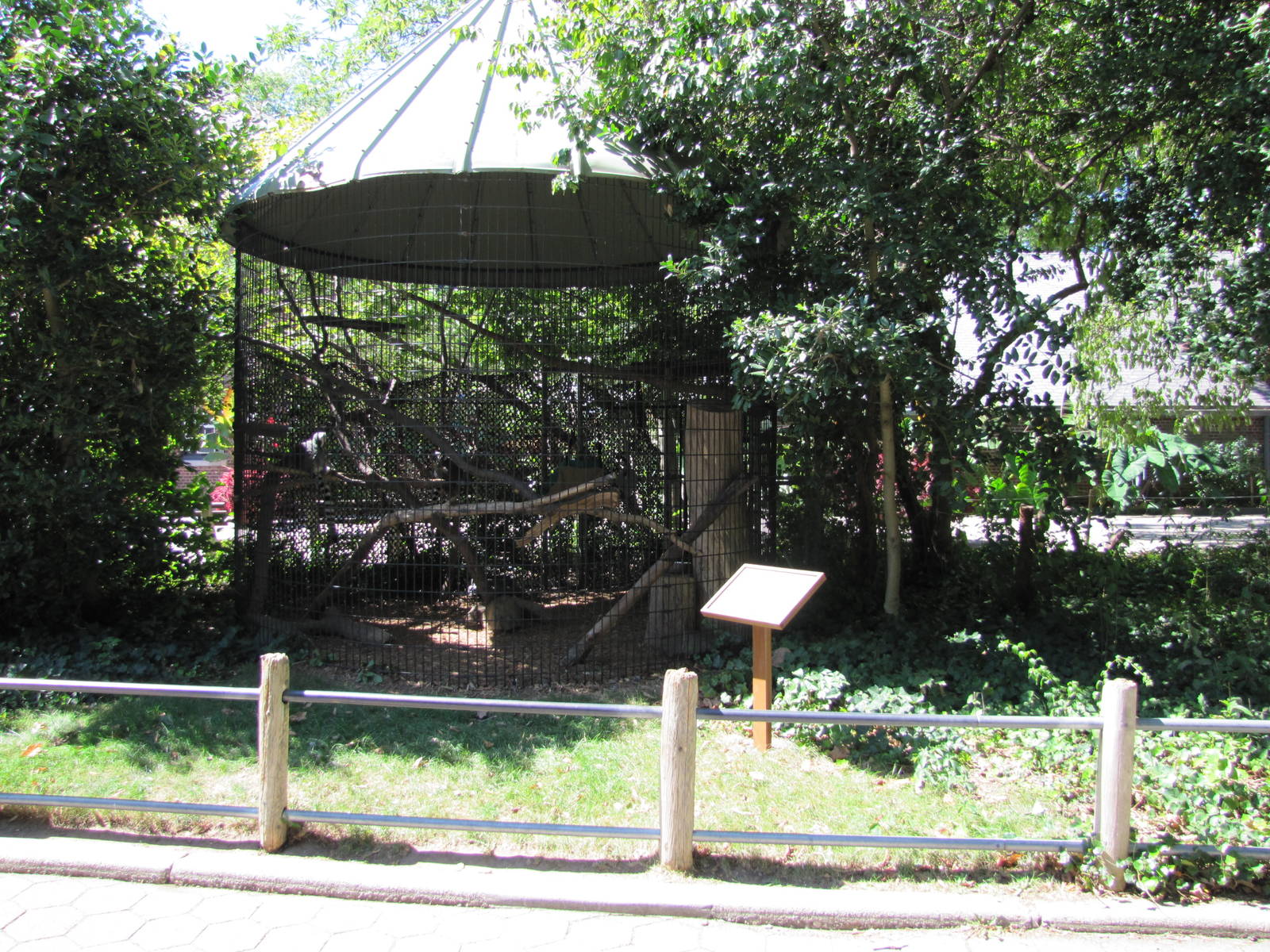 Staten Island Zoo 2010 - Ring-tailed Lemur cage