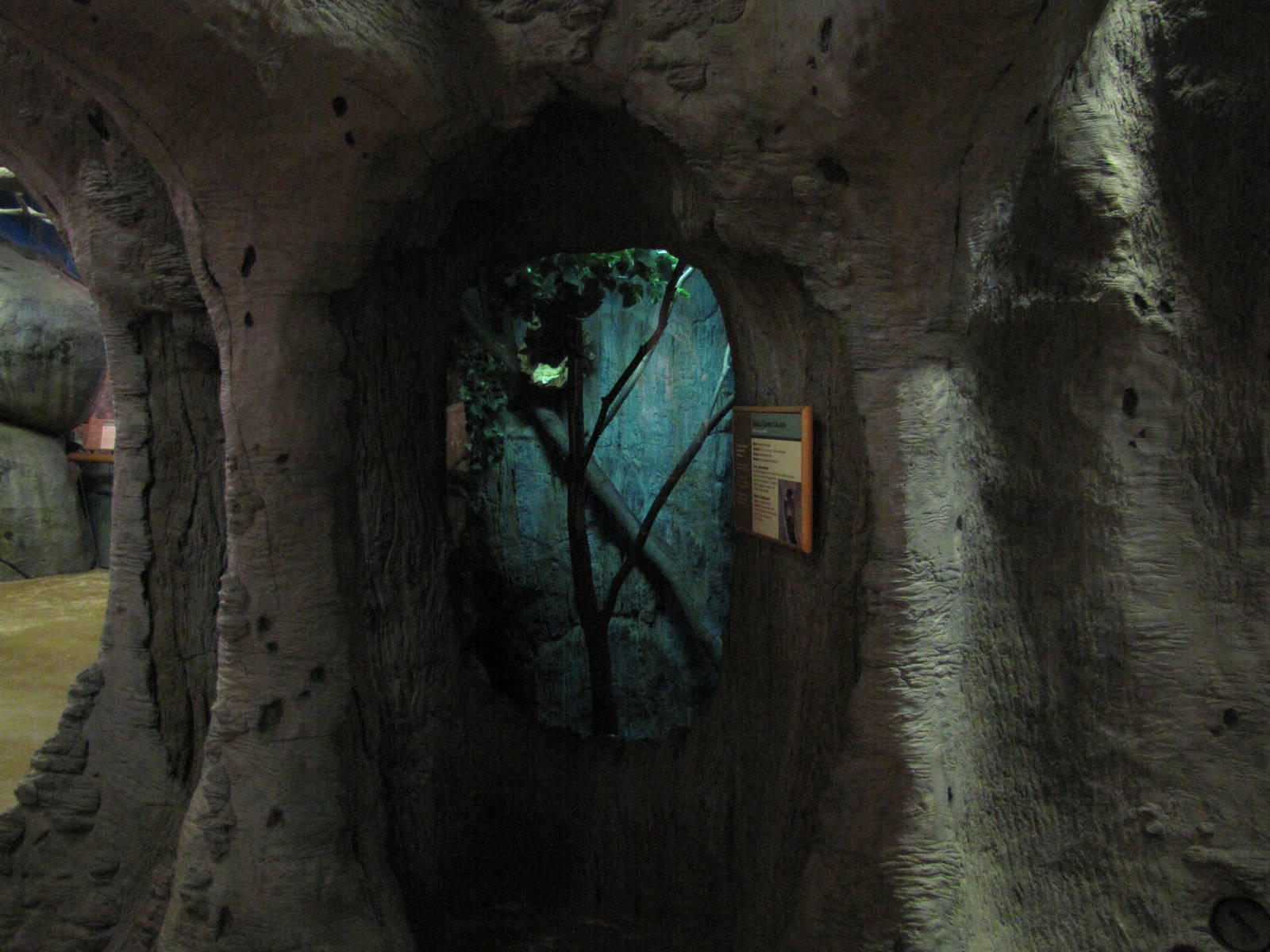 Staten Island Zoo 2010 - Small Eared Galago exhibit in African Savanna buil