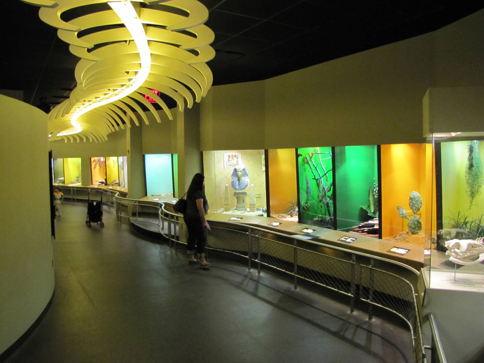 Staten Island Zoo 2010 - Snake Wing in Kauffeld Hall of Reptiles