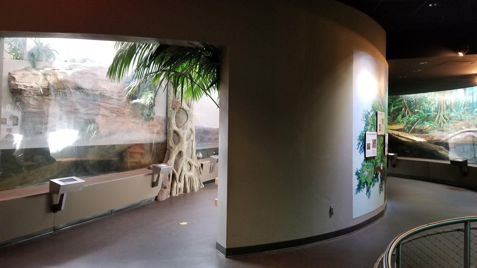 Staten Island Zoo - Alligators on left, anacondass on right