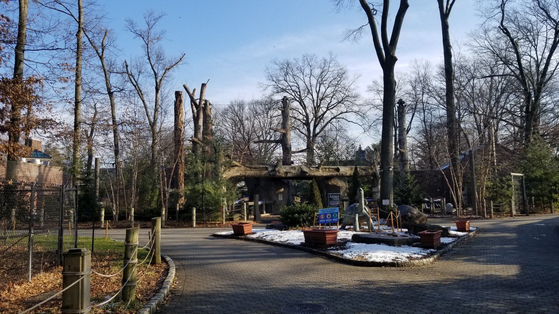 Staten Island Zoo - Amur leopard exhibit
