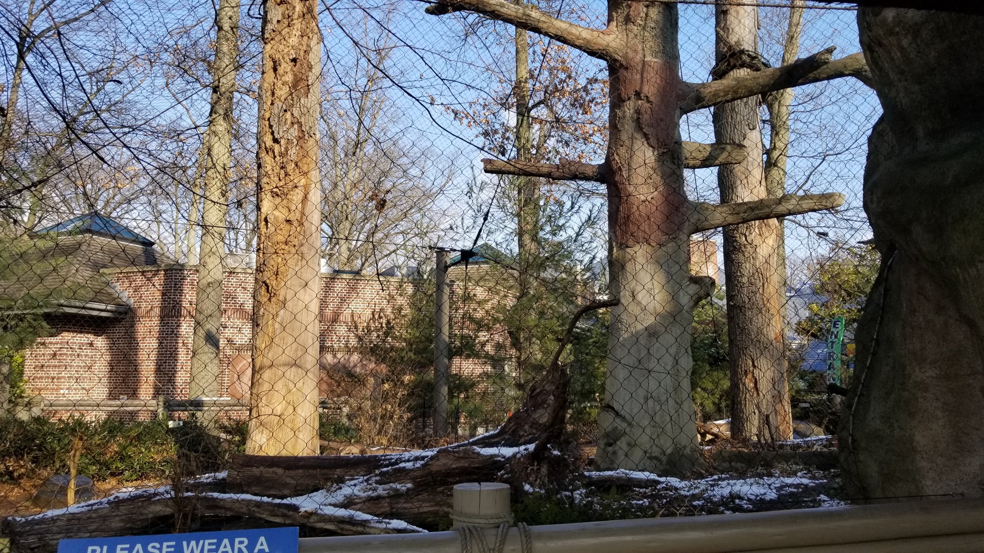 Staten Island Zoo - Amur leopard exhibit