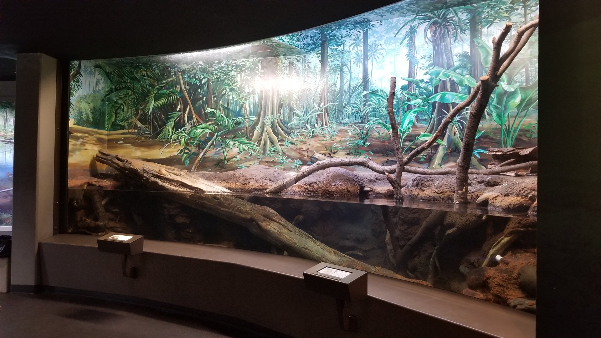 Staten Island Zoo - Anacondas