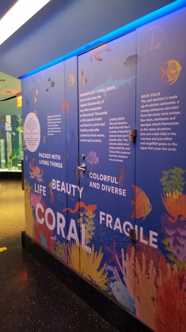 Staten Island Zoo - Aquarium mural example