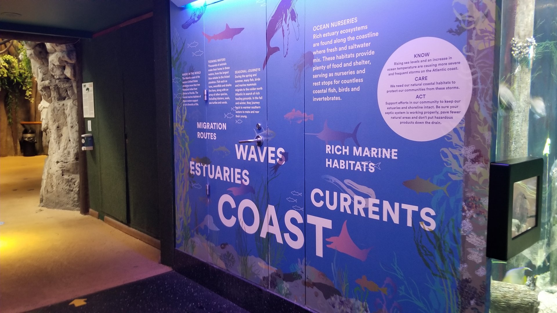 Staten Island Zoo - Aquarium mural example