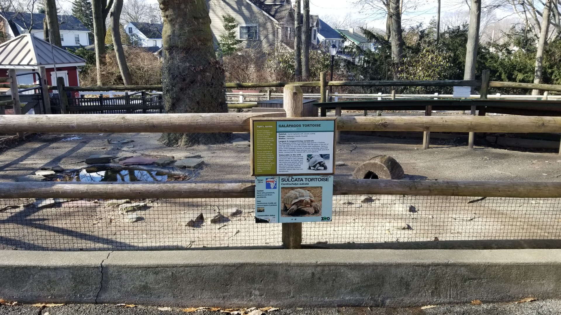 Staten Island Zoo - Area for tortoises in warm weather