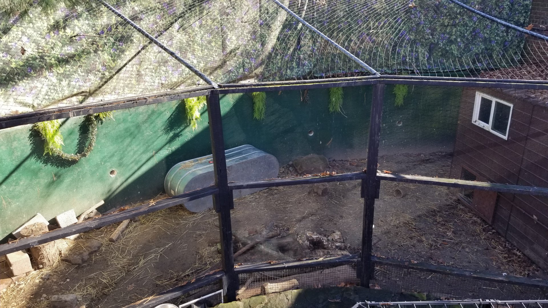 Staten Island Zoo - Beaver land area?