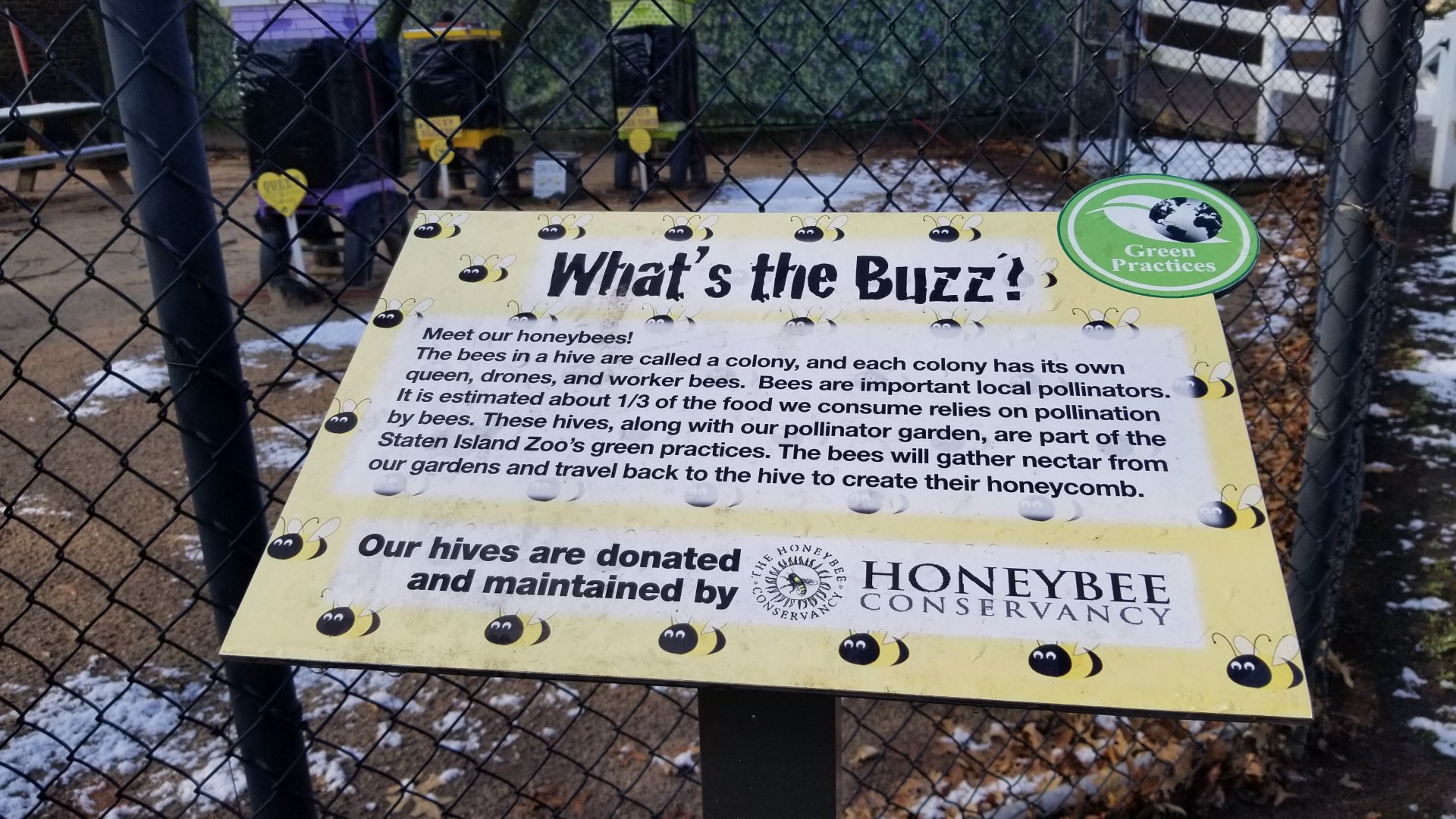 Staten Island Zoo - Bees