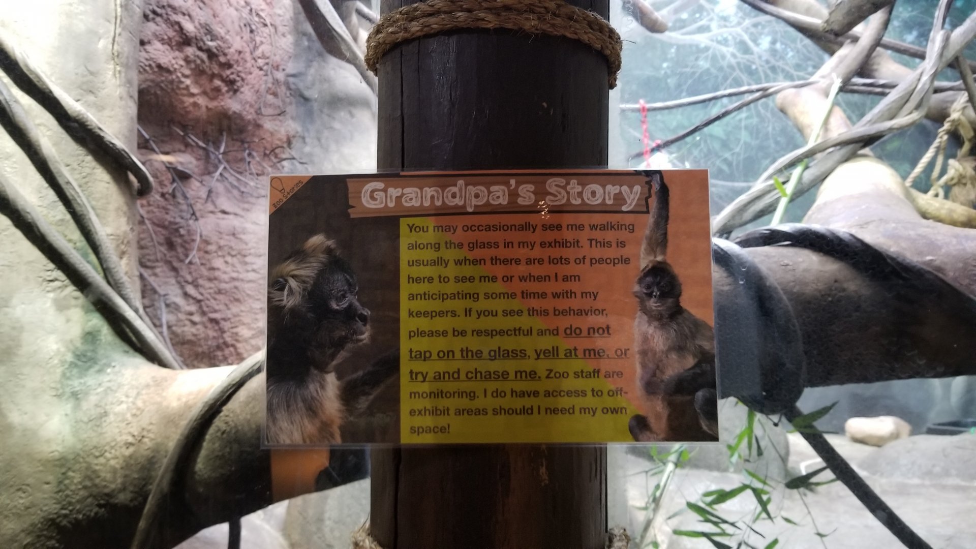 Staten Island Zoo - Black-handed spider monkey sign