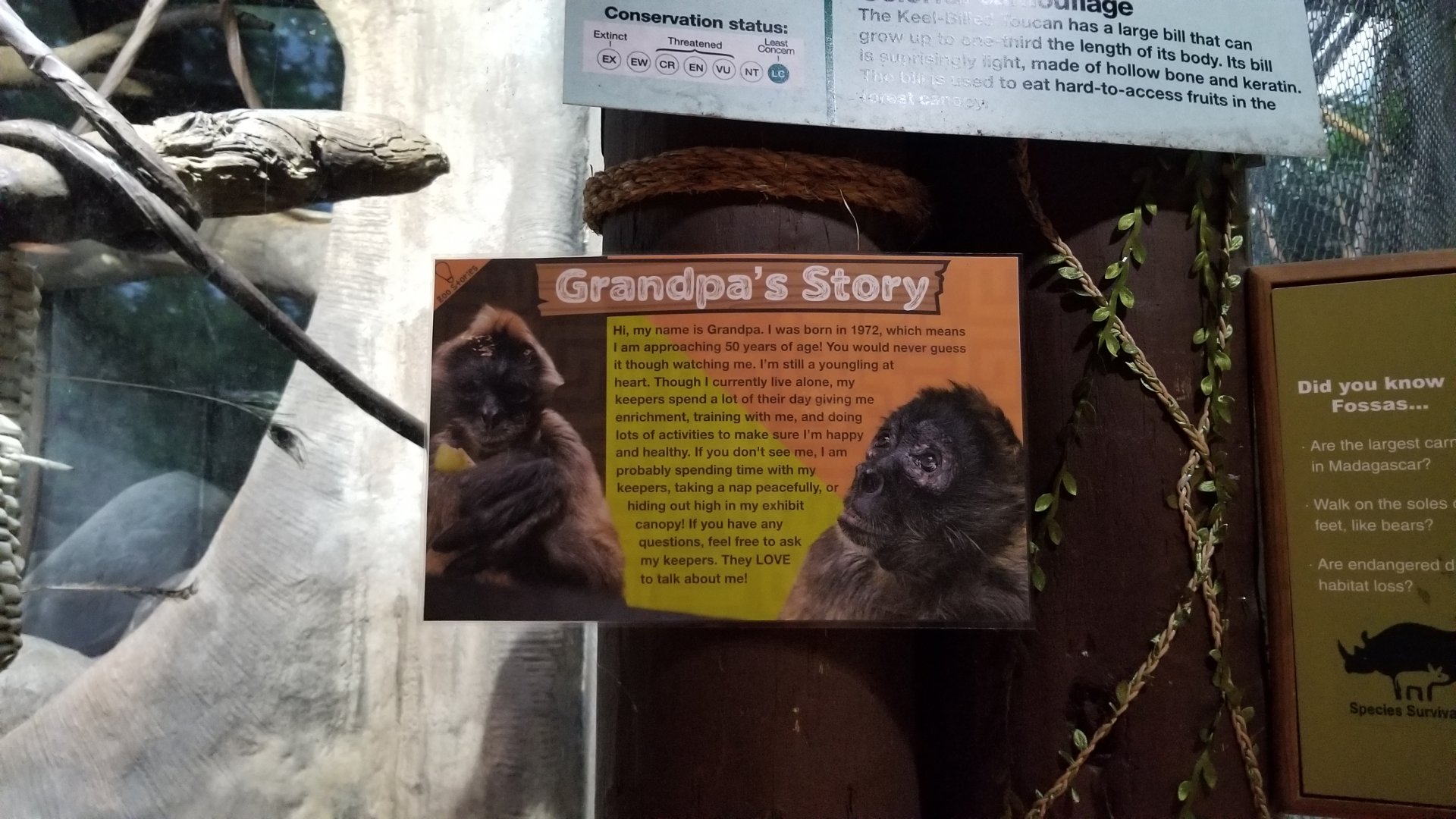 Staten Island Zoo - Black-handed spider monkey sign