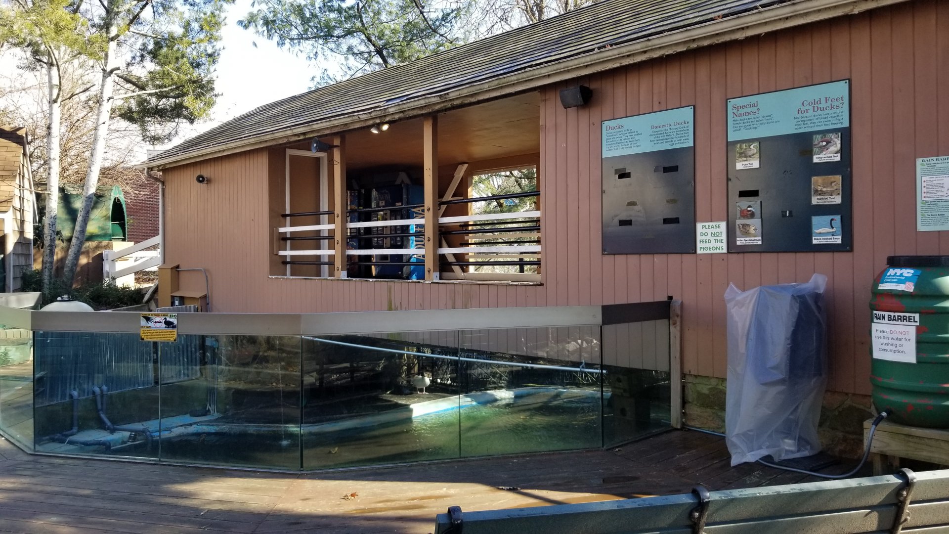 Staten Island Zoo - Bridge to enter children's zoo, over beaver pond
