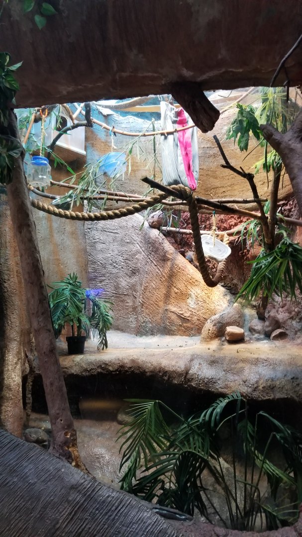 Staten Island Zoo - Emperor tamarin exhibit