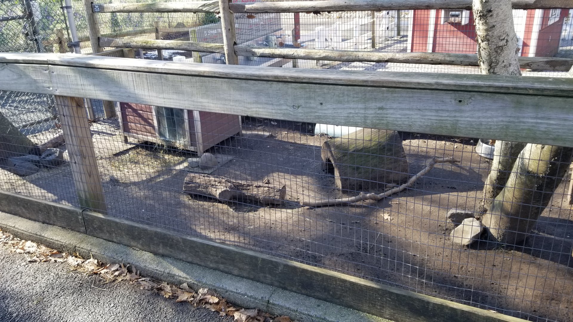 Staten Island Zoo - Flemish rabbit area