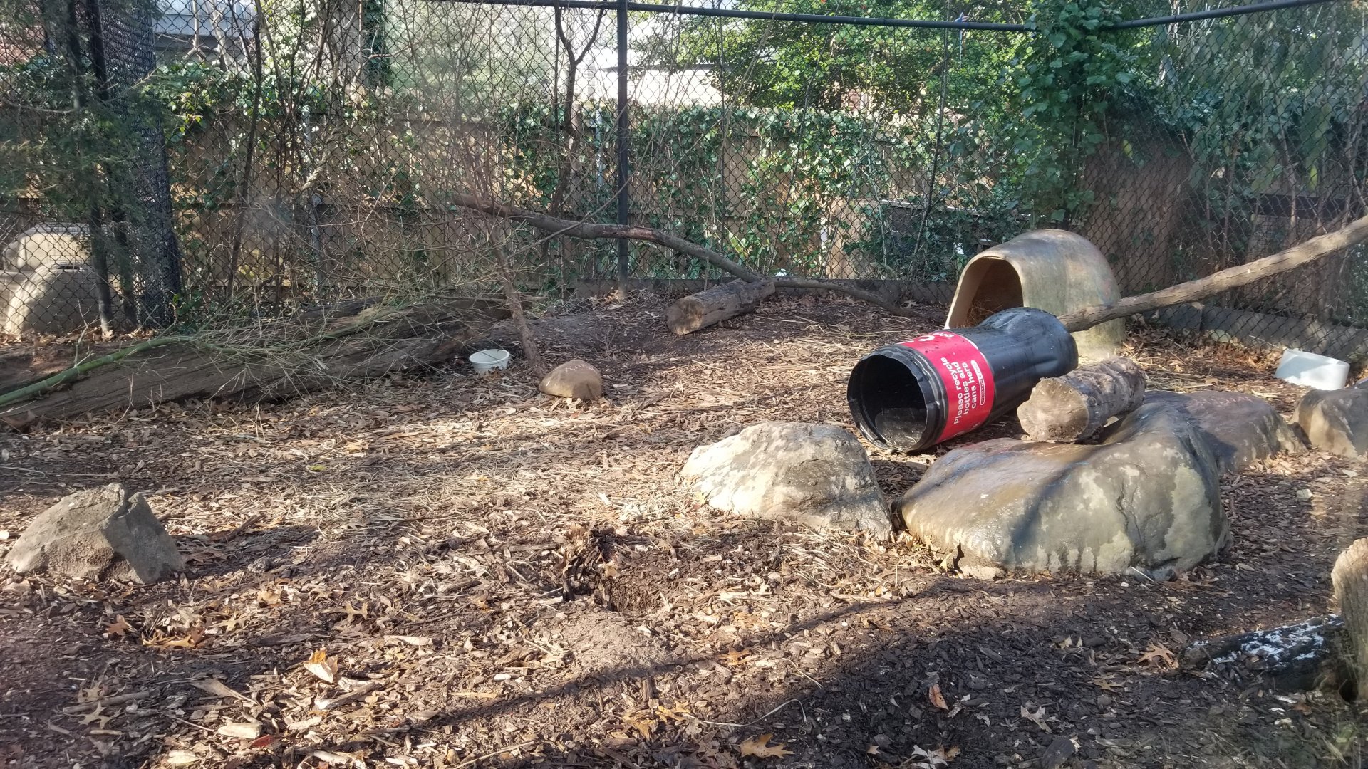 Staten Island Zoo - Fox exhibit
