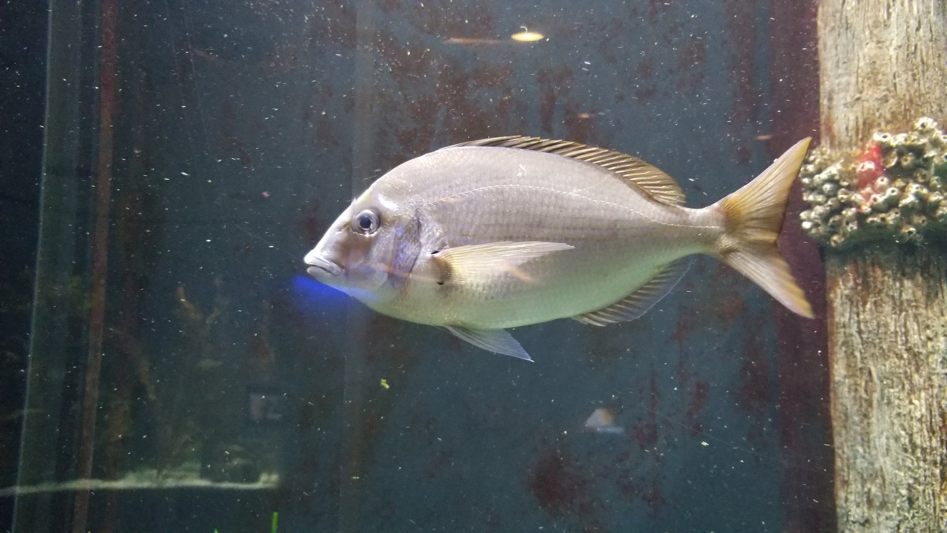 Staten Island Zoo - ID?