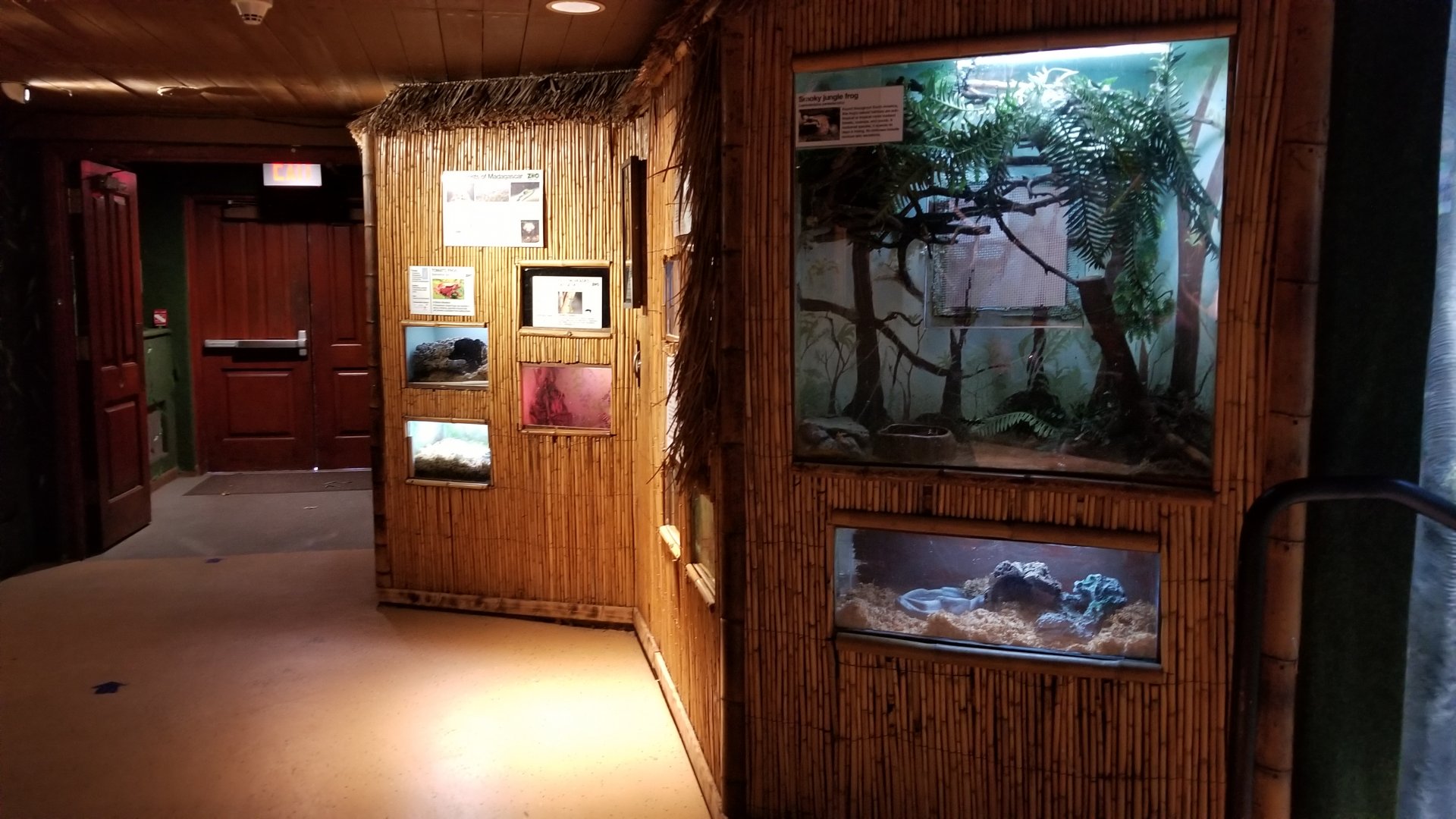 Staten Island Zoo - Jungle wing herps