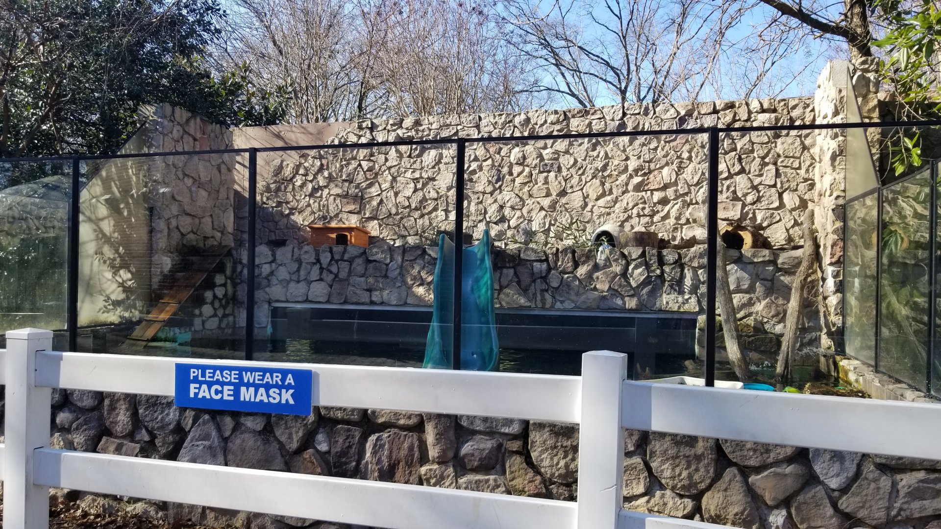 Staten Island Zoo - NA river otters
