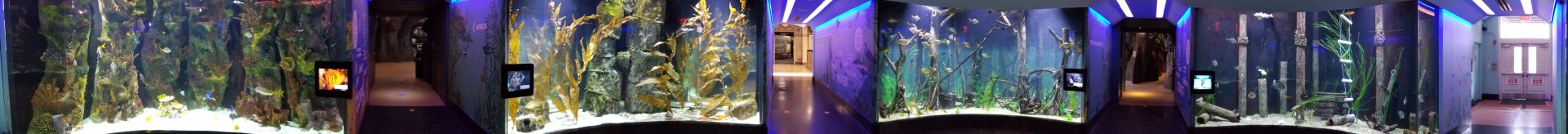 Staten Island Zoo - Panorama of all 4 fish tanks that form a circle