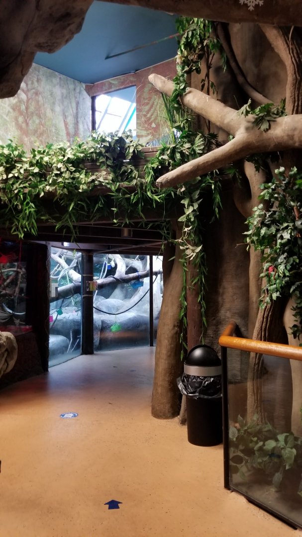 Staten Island Zoo - Pathway