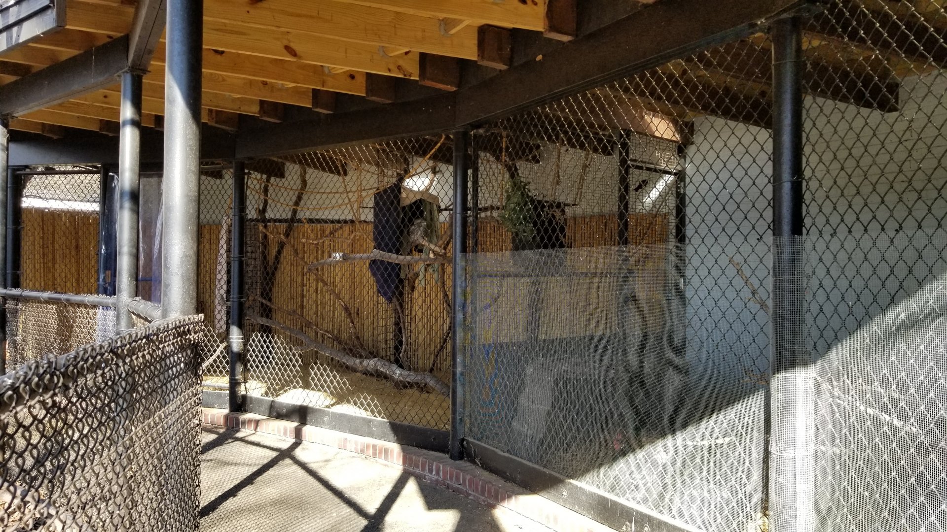 Staten Island Zoo - Presentation area