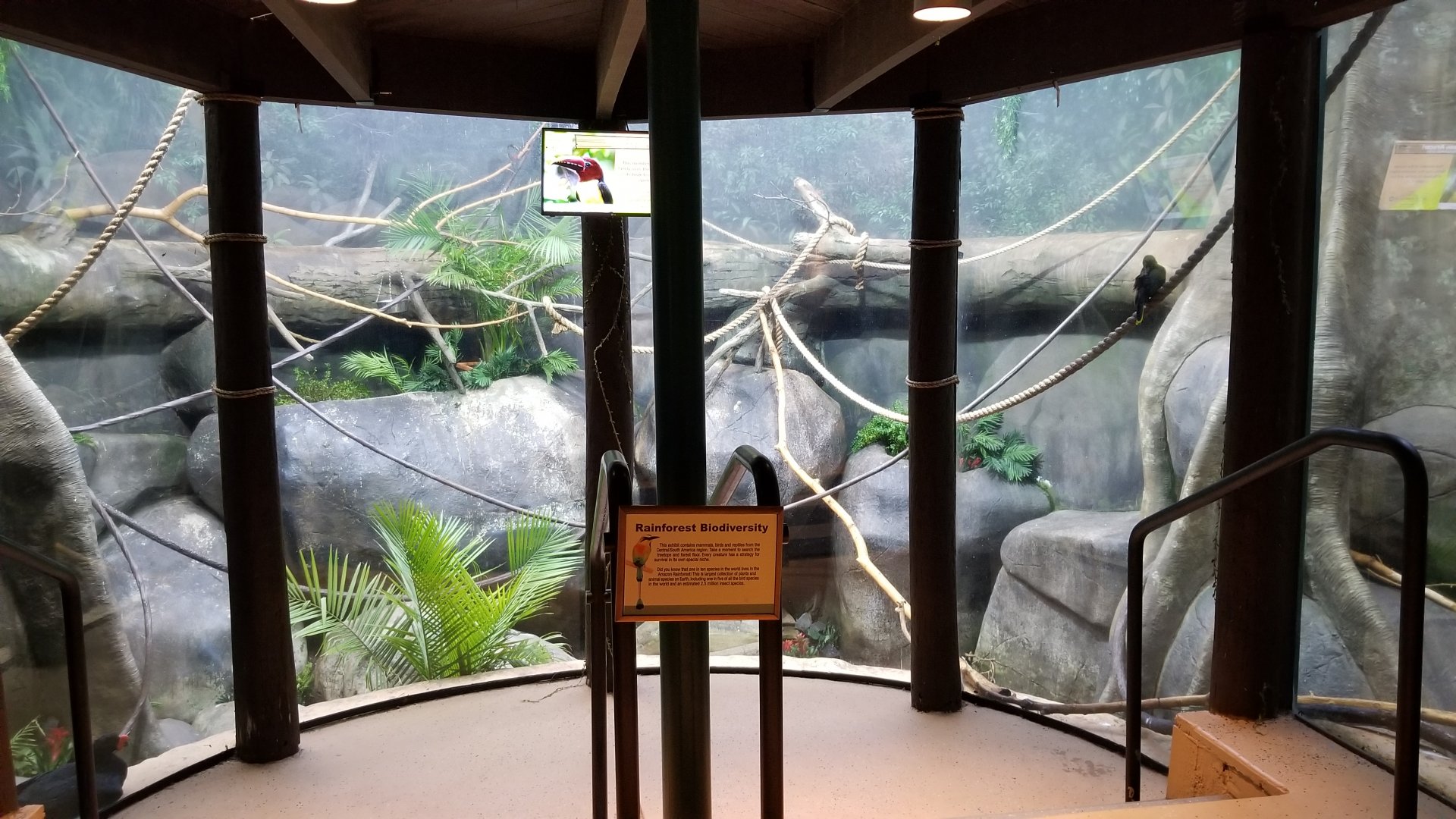 Staten Island Zoo - Rainforest exhibit