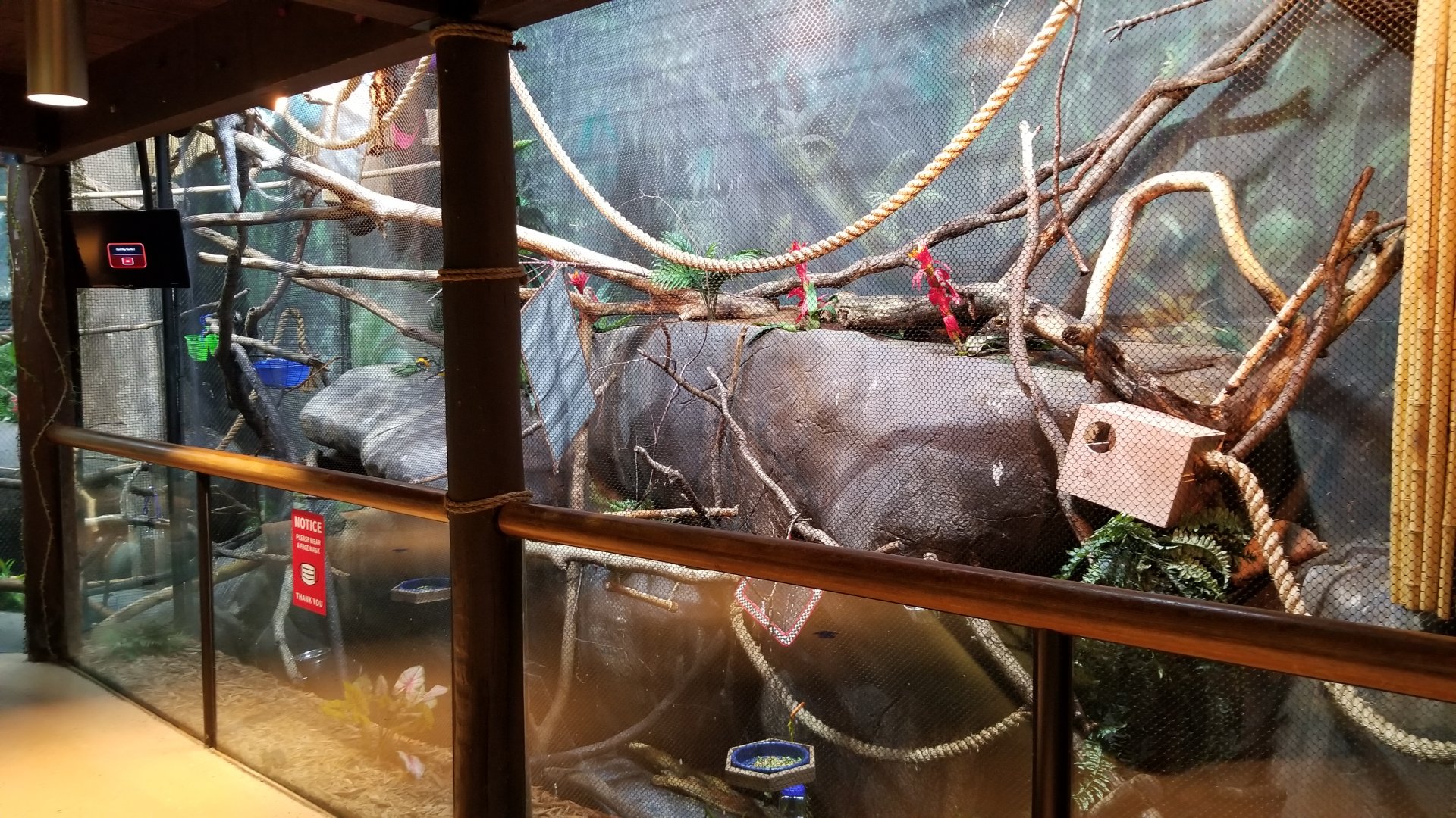 Staten Island Zoo - Reed titi, etc exhibit