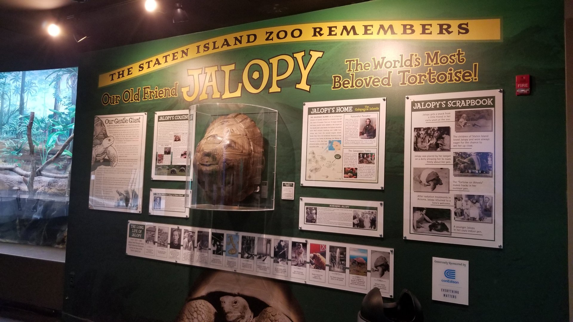 Staten Island Zoo - Remembering Jalopy the Galapagos tortoise
