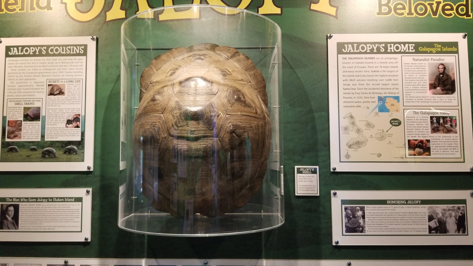 Staten Island Zoo - Remembering Jalopy