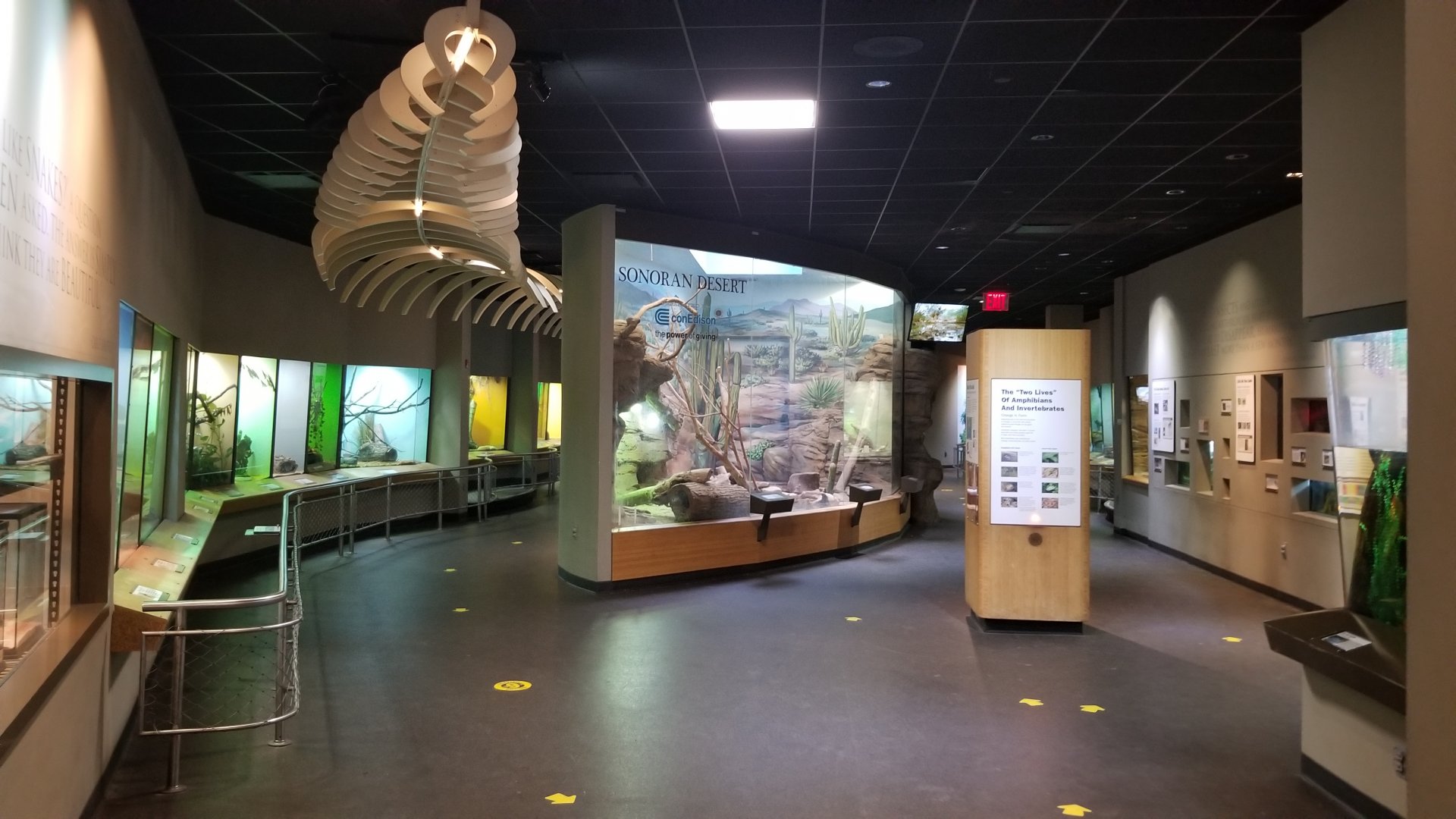 Staten Island Zoo - Reptile building, inside building entrance