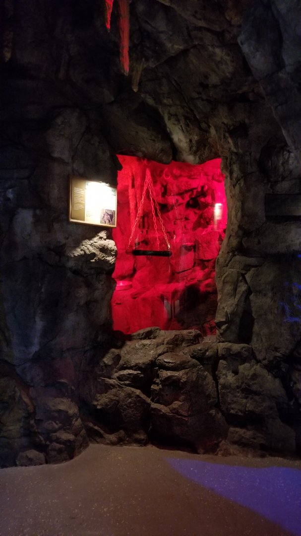 Staten Island Zoo - Seba's short-tailed bat