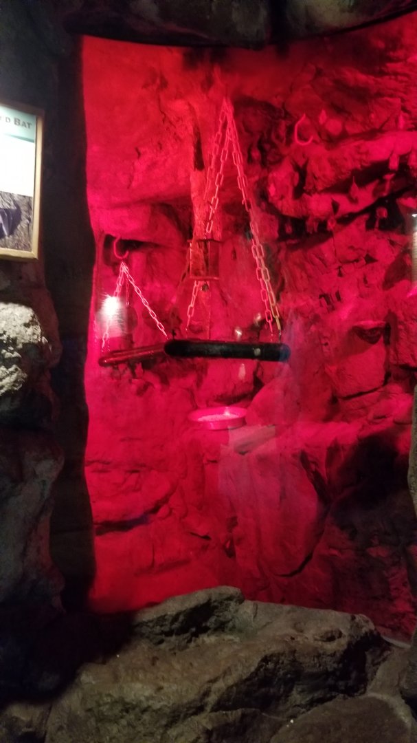 Staten Island Zoo - Seba's short-tailed bat