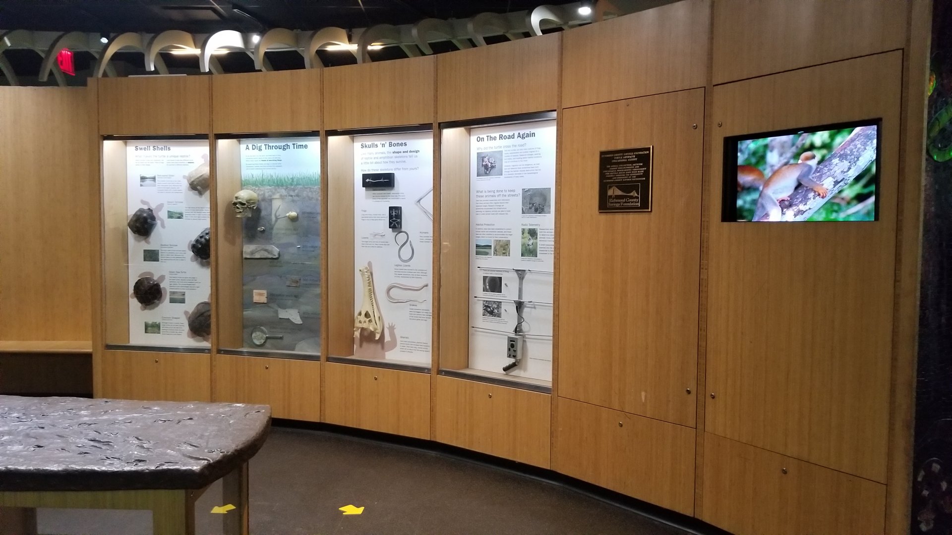 Staten Island Zoo - Signs, video