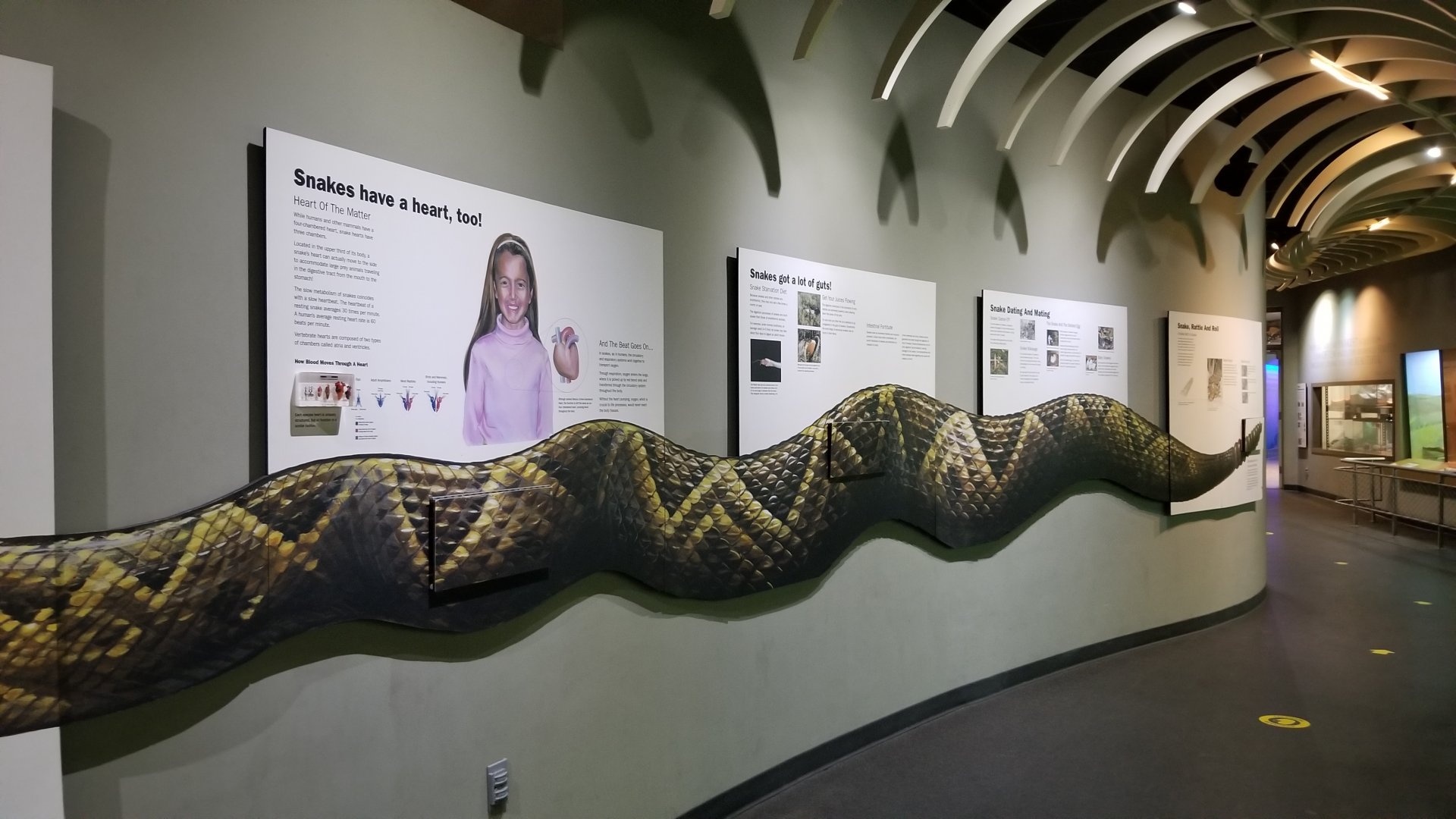 Staten Island Zoo - Snake signs