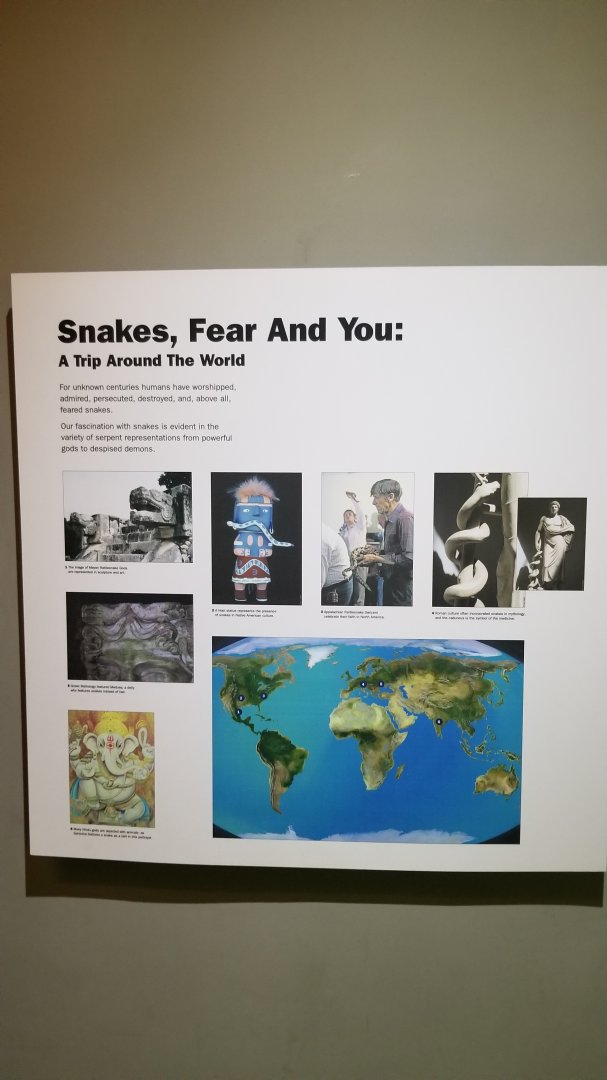 Staten Island Zoo - Snakes, fear, and you