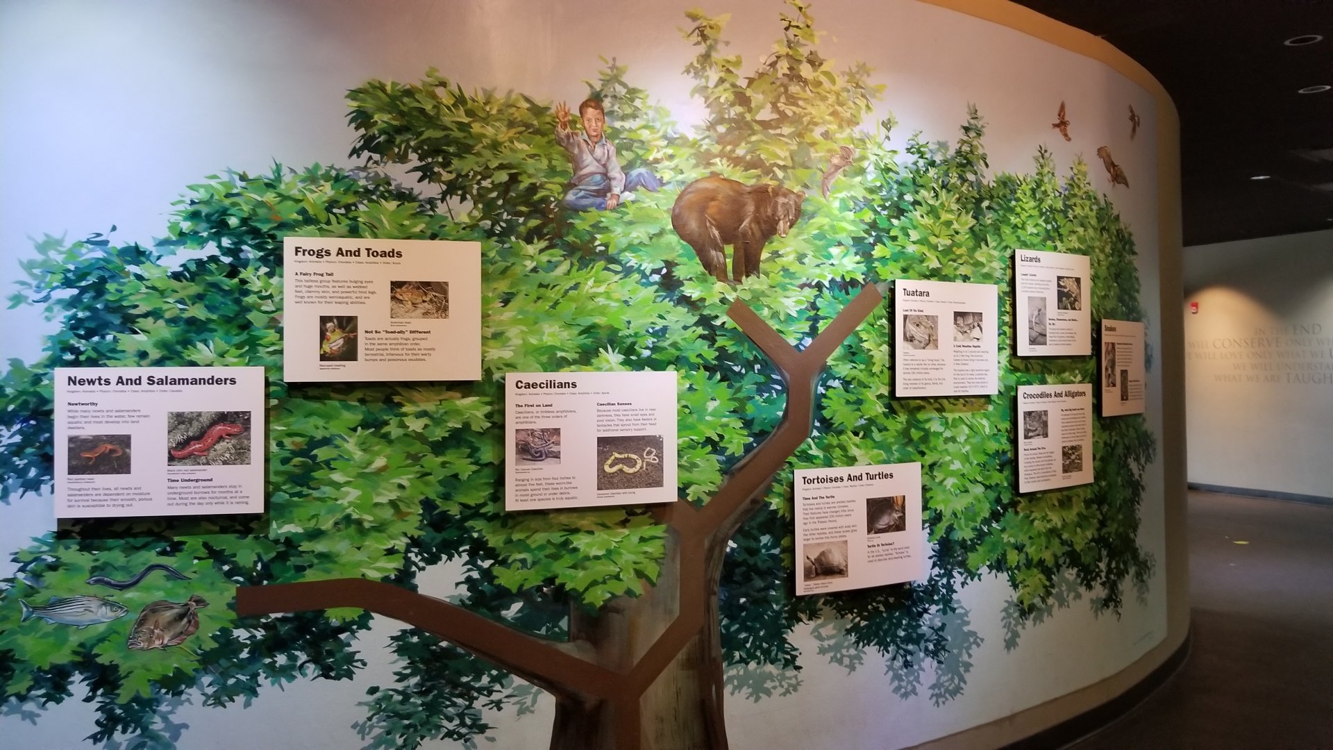 Staten Island Zoo - Tree of life mural (no idea why there's a bear, etc...)