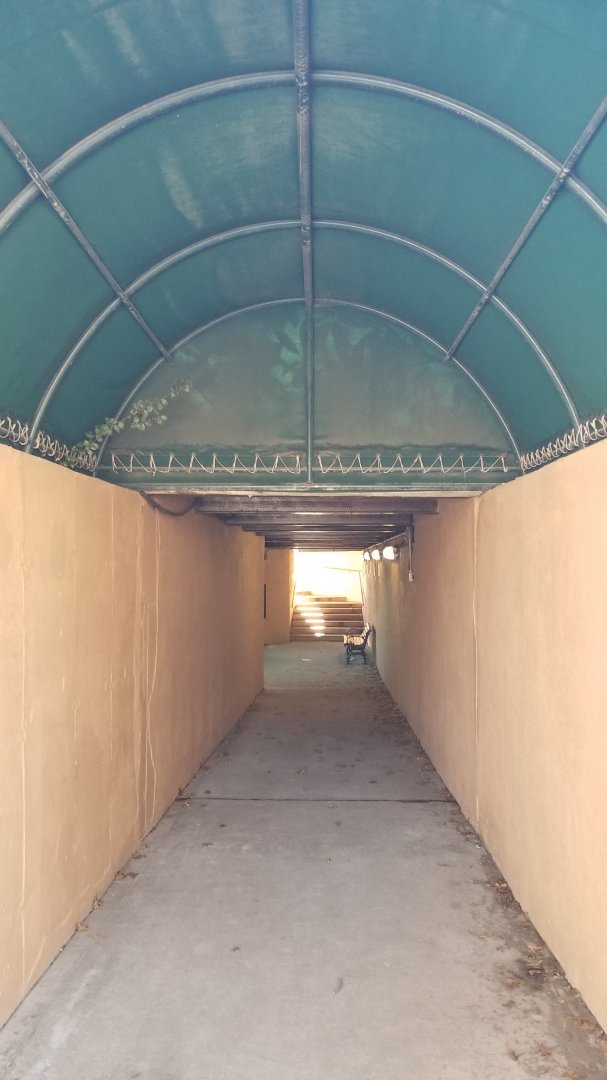 Staten Island Zoo - Tunnel to see NA river otters