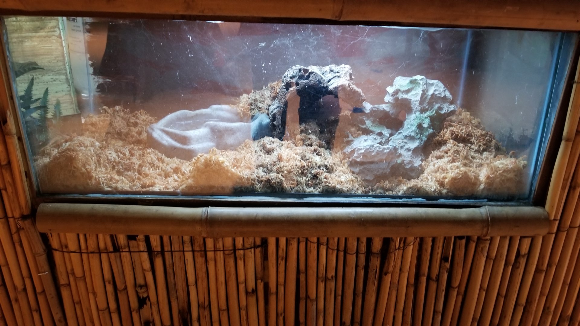 Staten Island Zoo - Unsigned exhibit