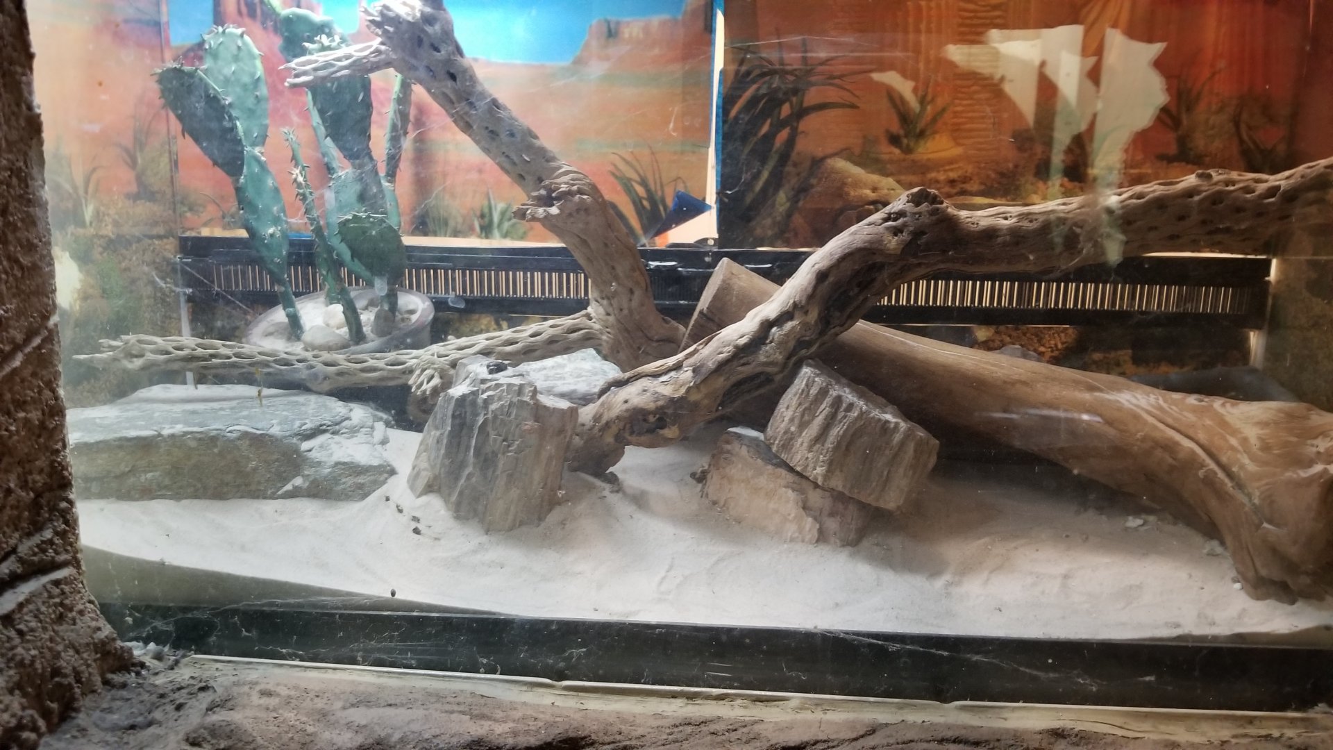 Staten Island Zoo - Unsigned rattlesnake exhibit, didn't see a snake