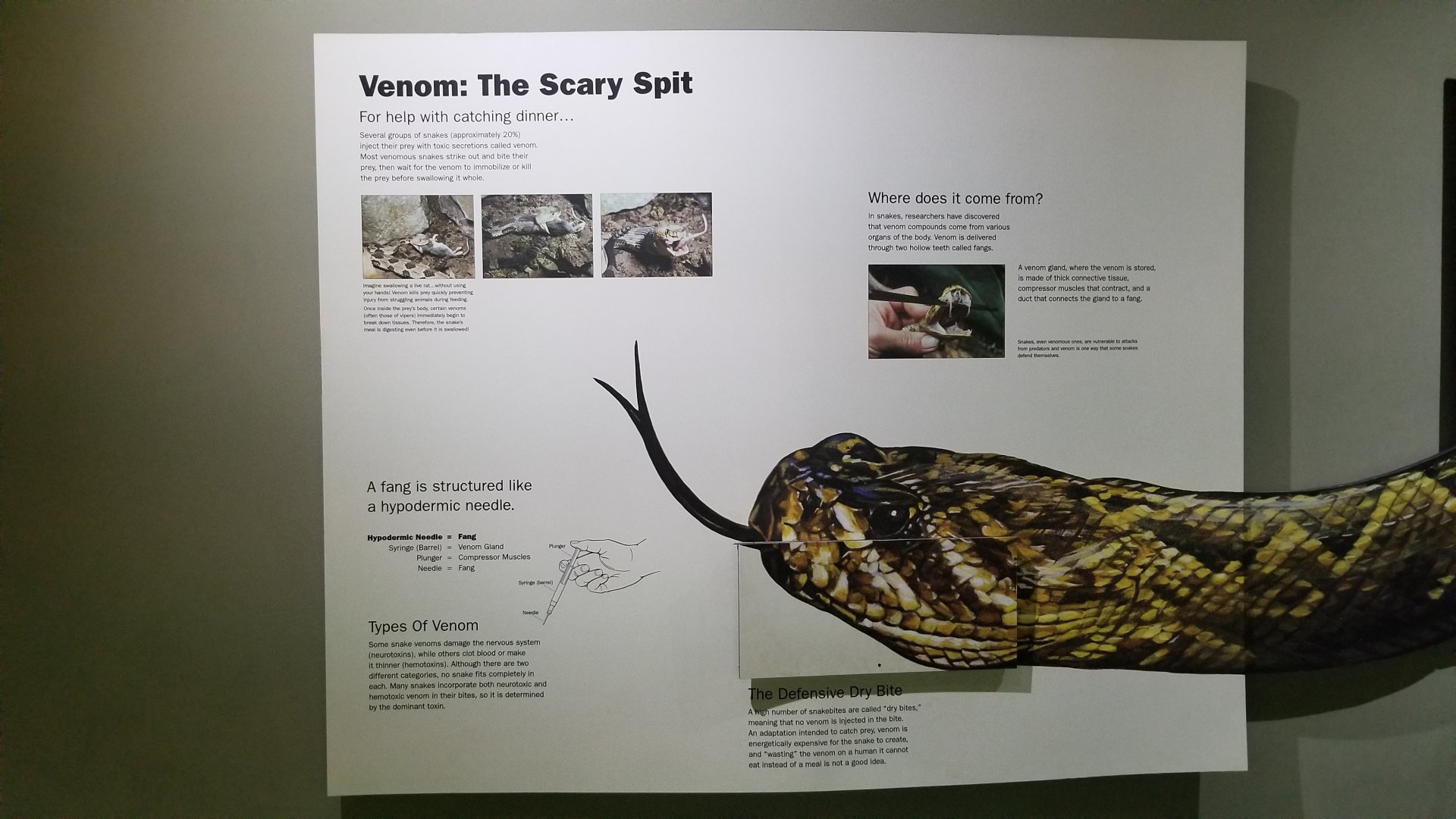 Staten Island Zoo - Venom sign