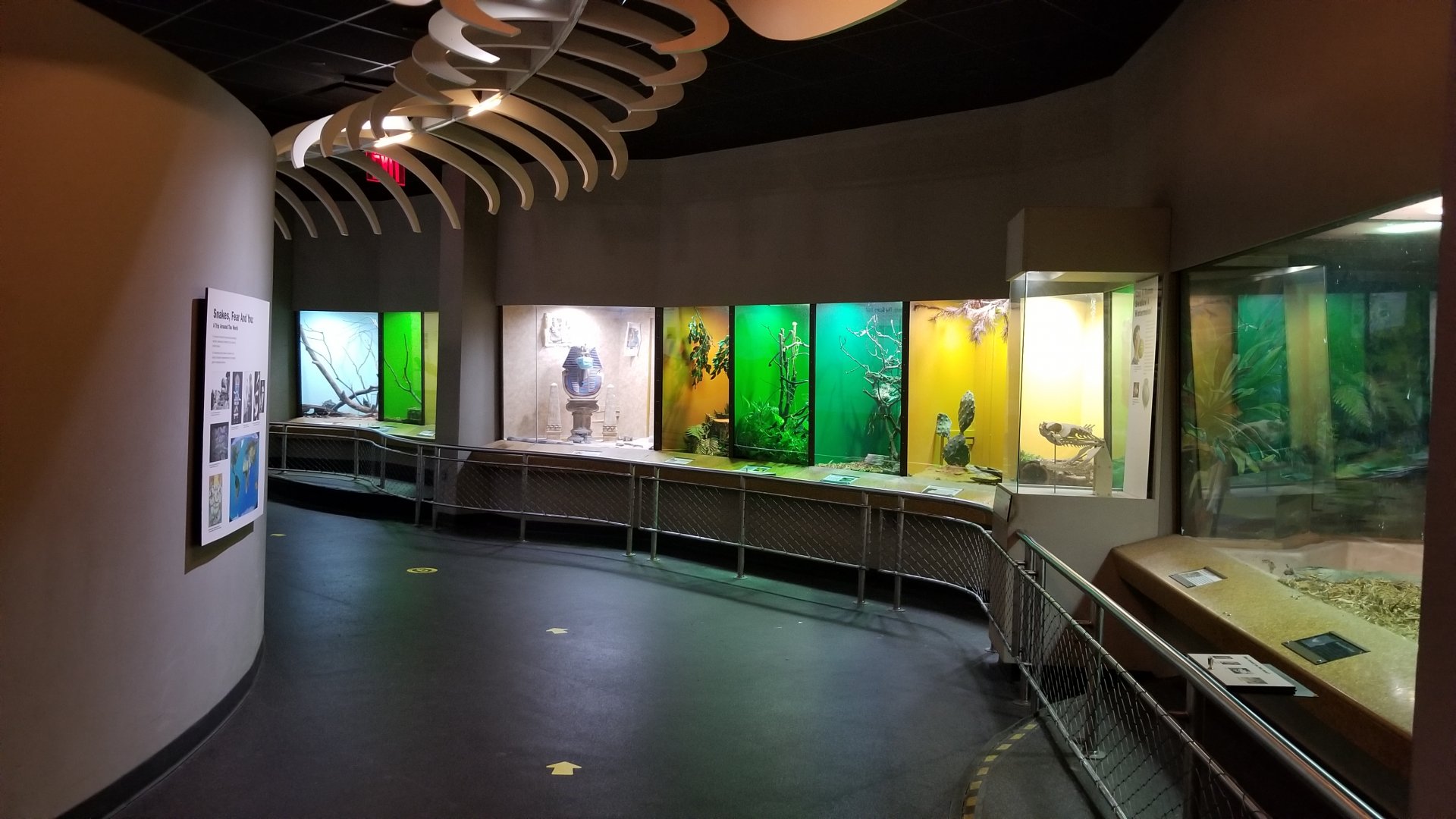 Staten Island Zoo - Venomous snakes