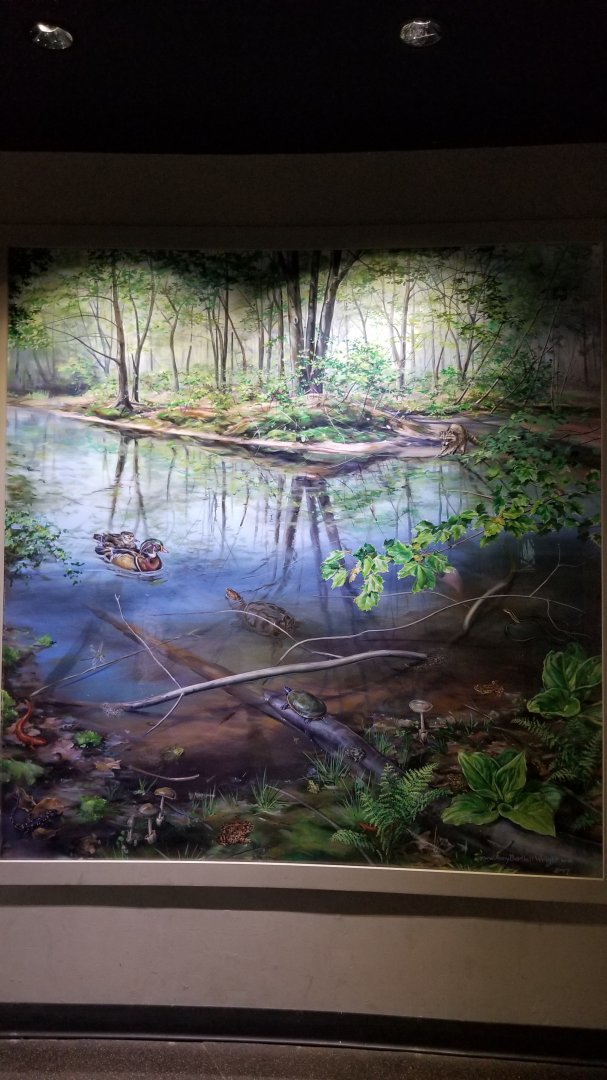 Staten Island Zoo - Vernal pool mural